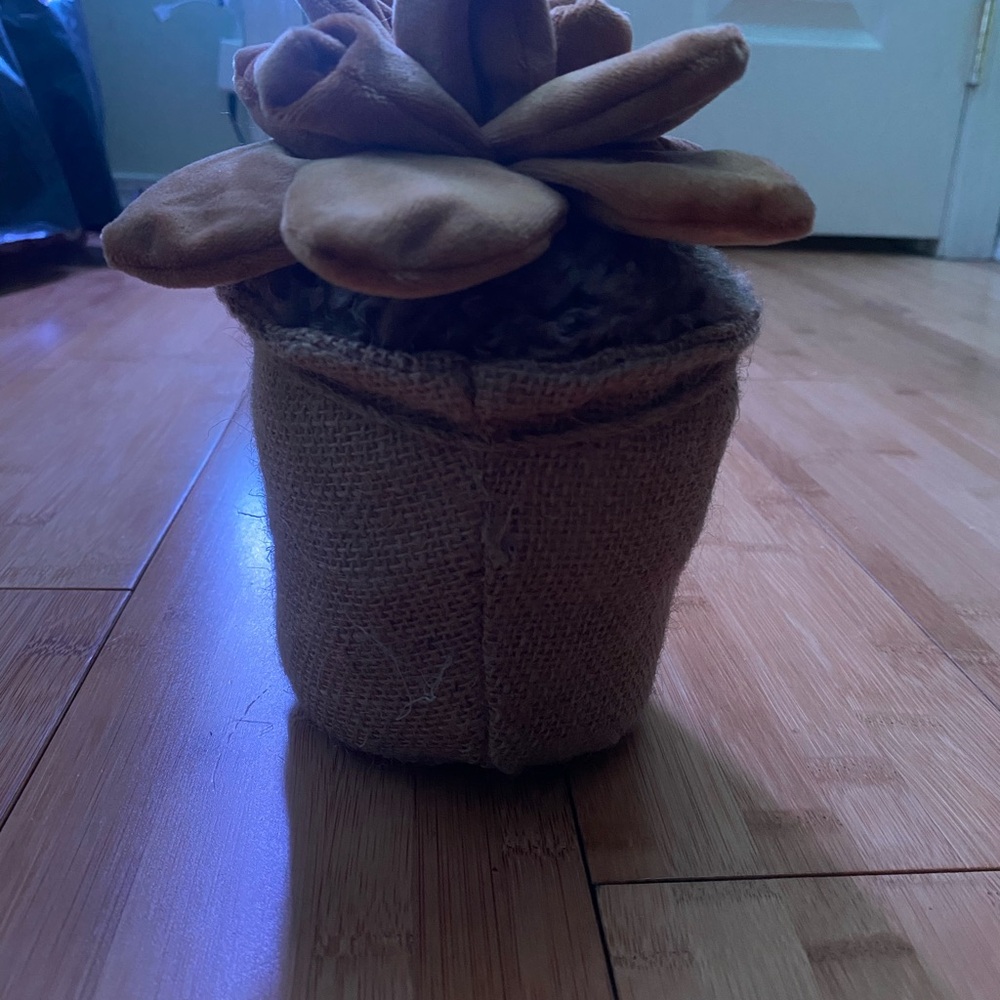 Rustic Burlap Potted Faux Succulent